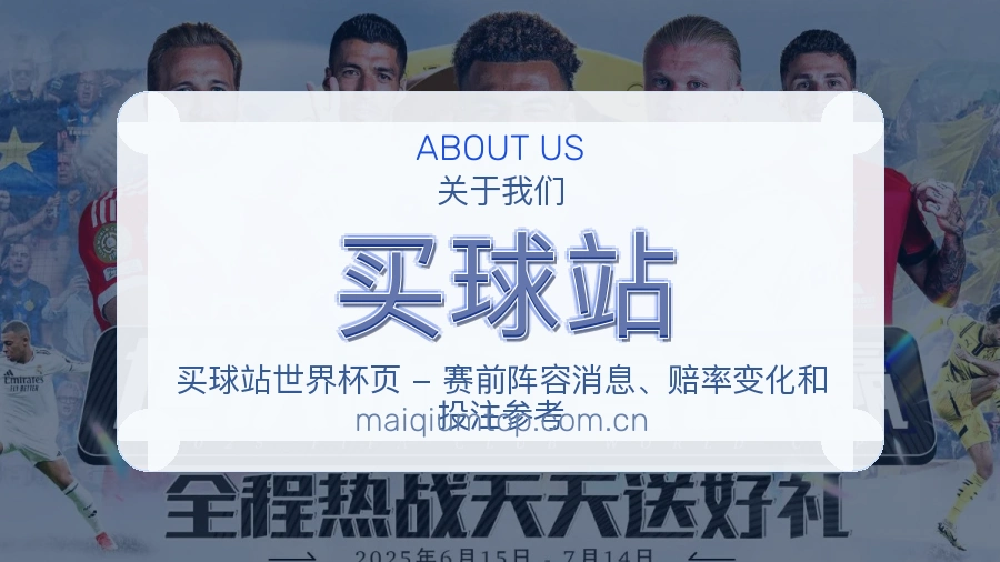 买球站服务范围介绍